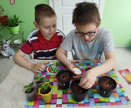 Ребята посадили арбузы и дыни_1