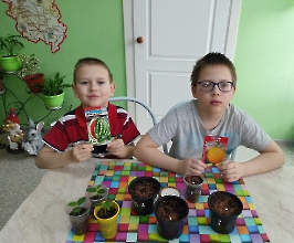Ребята посадили арбузы и дыни_2